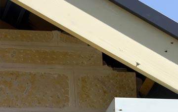 soffit repair Newcastleton Or Copshaw Holm